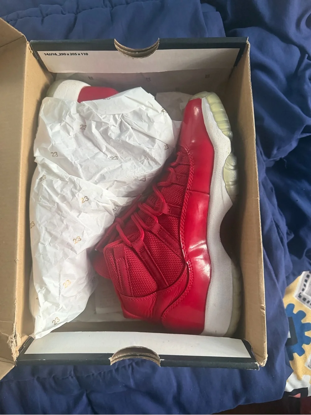 Jordan 11 win like 96 gs